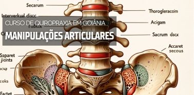 Manipulações Articulares 2024 - Curso de Quiropraxia em Goiânia