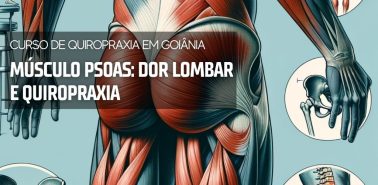 Músculo Psoas Dor Lombar e Quiropraxia - Curso de Quiropraxia em Goiânia