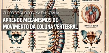 Movimento da Coluna Vertebral 2024 - Curso de Quiropraxia em Goiânia
