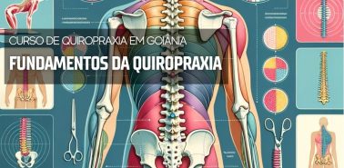 Fundamentos da Quiropraxia 2024 - Curso de Quiropraxia em Goiânia