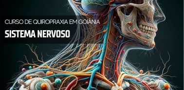 Sistema Nervoso e Quiropraxia 2024 - Curso de Quiropraxia em Goiânia